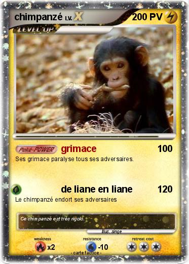 Pokemon chimpanzé