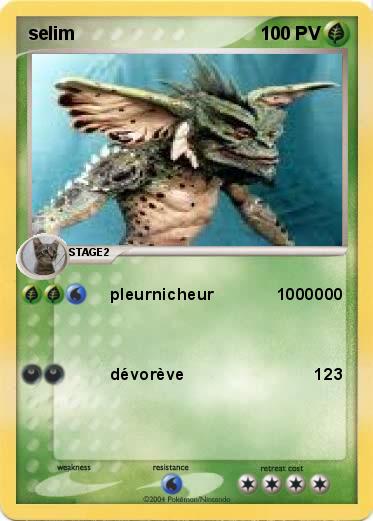Pokemon selim