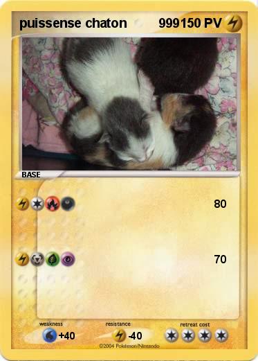 Pokemon puissense chaton         999