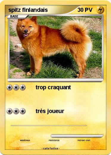 Pokemon spitz finlandais