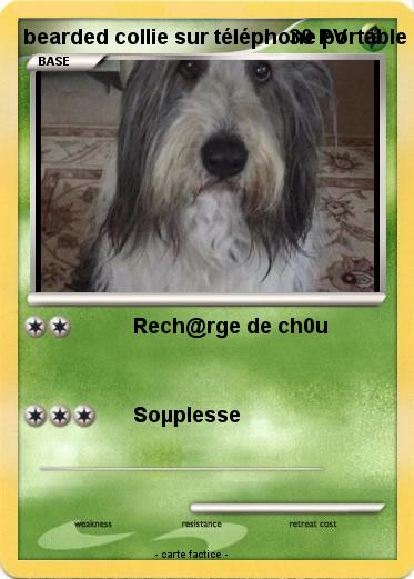 Pokemon bearded collie sur téléphone portable