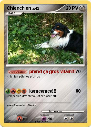 Pokemon Chienchien