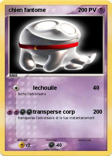 Pokemon chien fantome