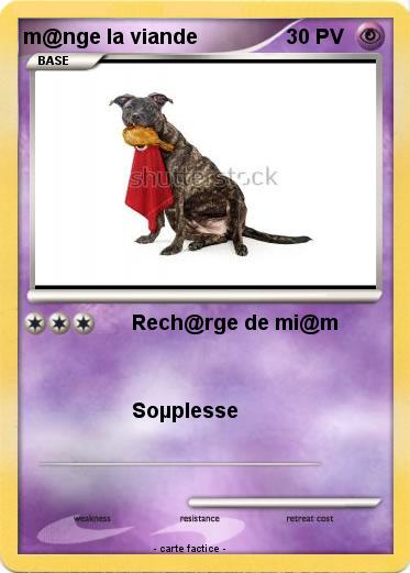 Pokemon m@nge la viande