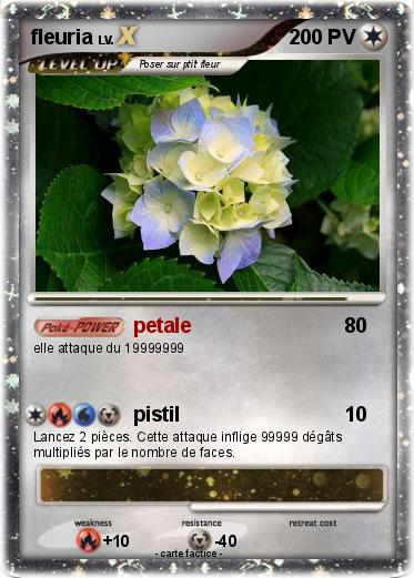 Pokemon fleuria