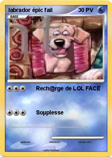 Pokemon labrador épic fail
