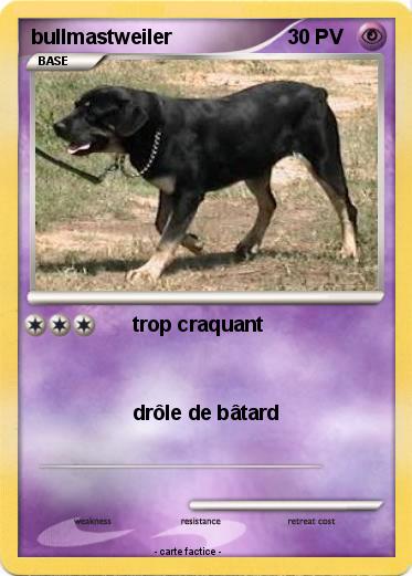 Pokemon bullmastweiler