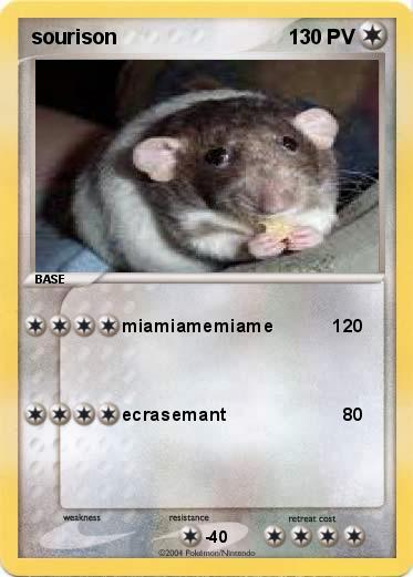 Pokemon sourison