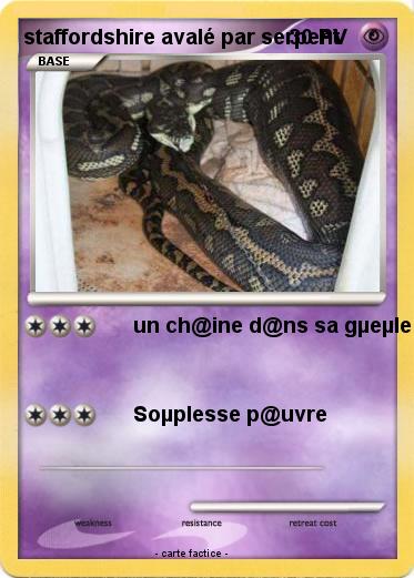 Pokemon staffordshire avalé par serpent