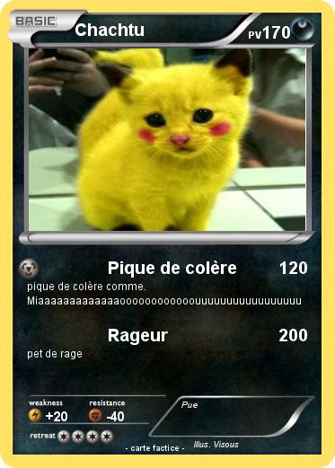 Pokemon Chachtu