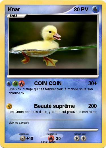Pokemon Knar
