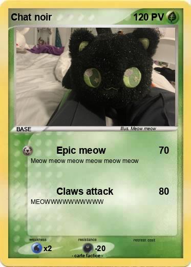 Pokemon Chat noir