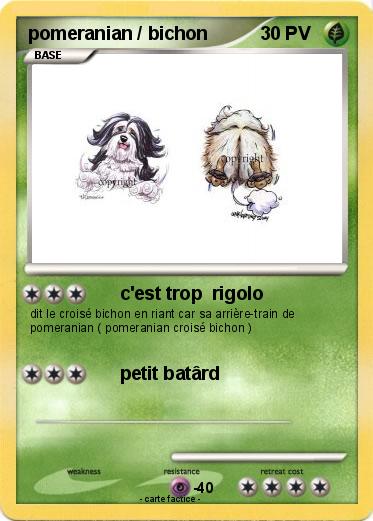 Pokemon pomeranian / bichon