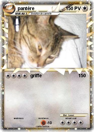 Pokemon pantère