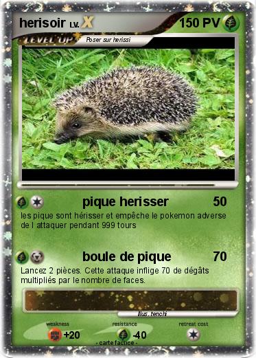 Pokemon herisoir