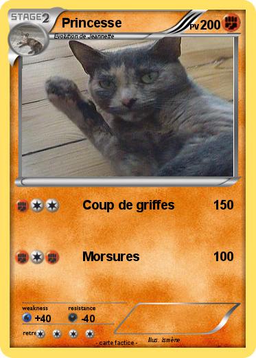 Pokemon Princesse