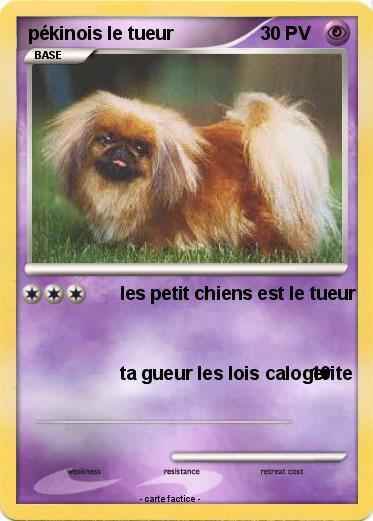 Pokemon pékinois le tueur