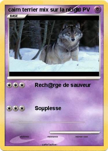 Pokemon cairn terrier mix sur la n£ige
