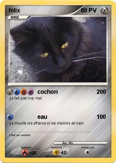 Pokemon félix