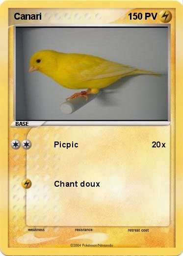 Pokemon Canari