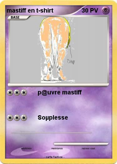 Pokemon mastiff en t-shirt