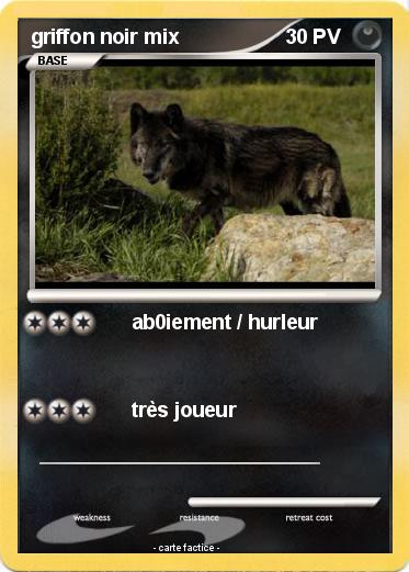 Pokemon griffon noir mix