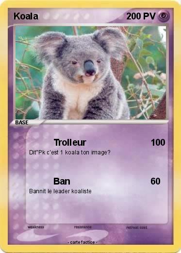 Pokemon Koala