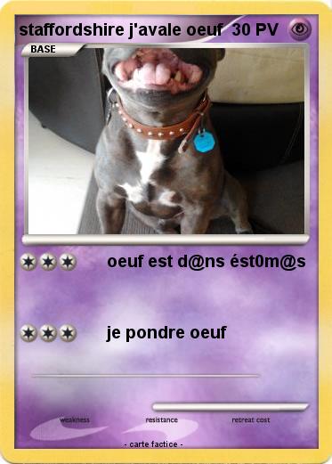 Pokemon staffordshire j'avale oeuf