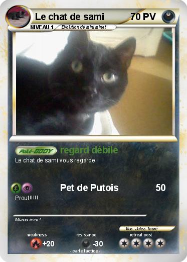 Pokemon Le chat de sami