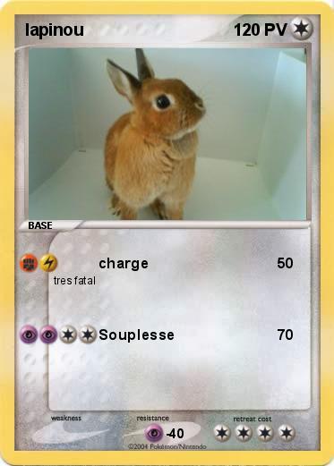 Pokemon lapinou
