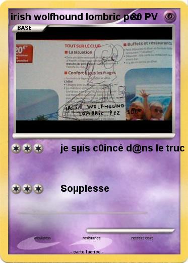 Pokemon irish wolfhound lombric pez