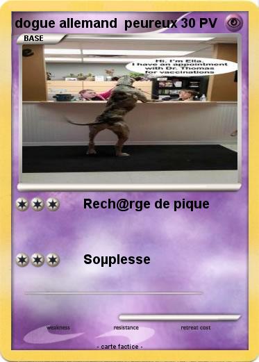 Pokemon dogue allemand  peureux
