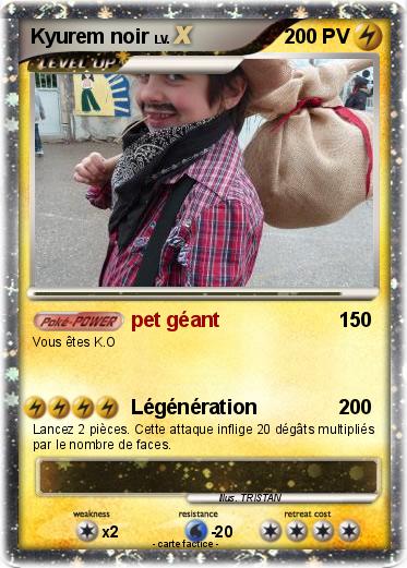 Pokemon Kyurem noir
