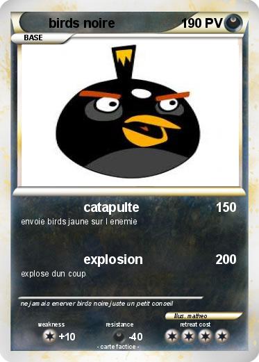 Pokemon birds noire
