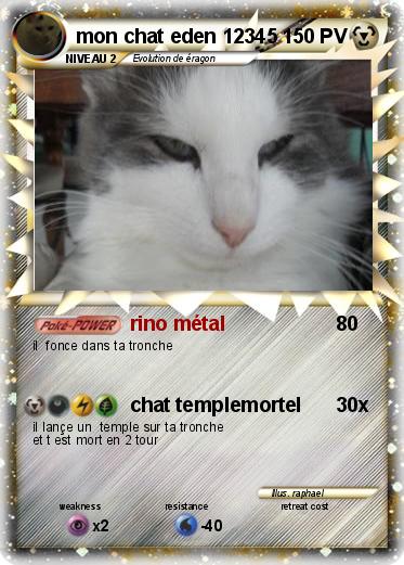 Pokemon mon chat eden 12345