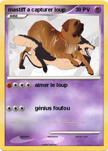 Pokemon mastiff a capturer loup