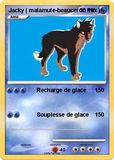 Pokemon Jacky ( malamute-beauceron mix )
