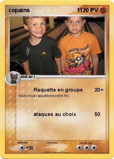 Pokemon copains                              1