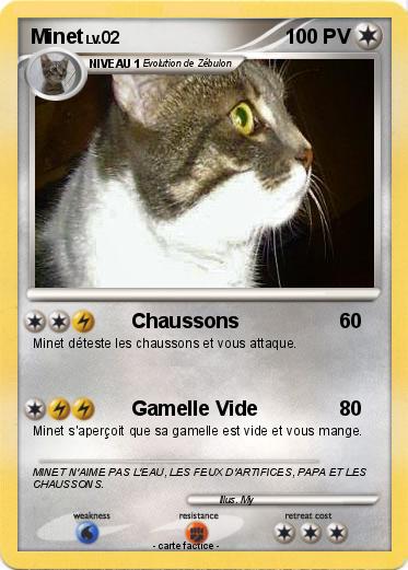 Pokemon Minet