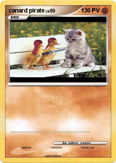 Pokemon canard pirate