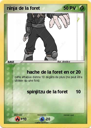 Pokemon ninja de la foret