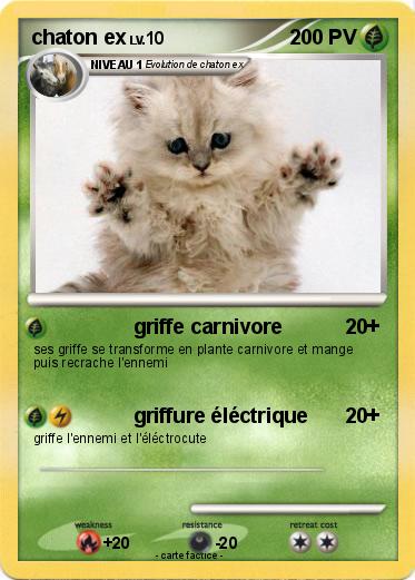 Pokemon chaton ex