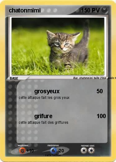 Pokemon chatonmimi
