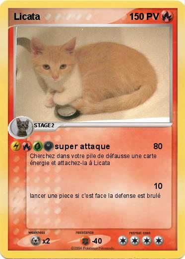 Pokemon Licata