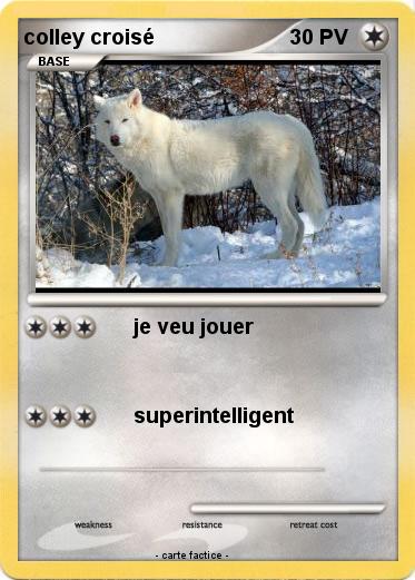 Pokemon colley croisé