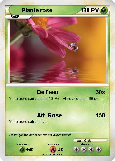 Pokemon Plante rose