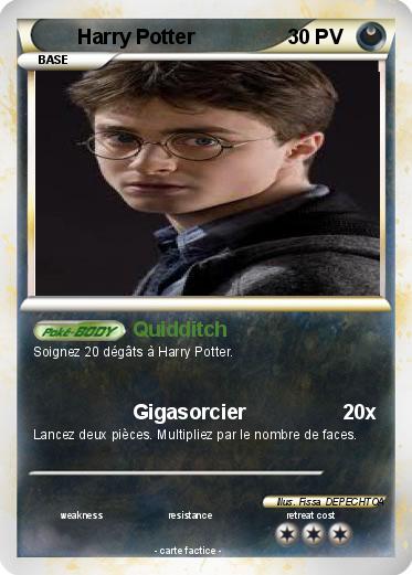 Pokemon Harry Potter