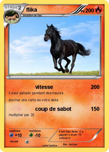 Pokemon flika