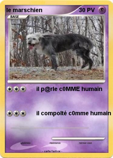 Pokemon le marschien
