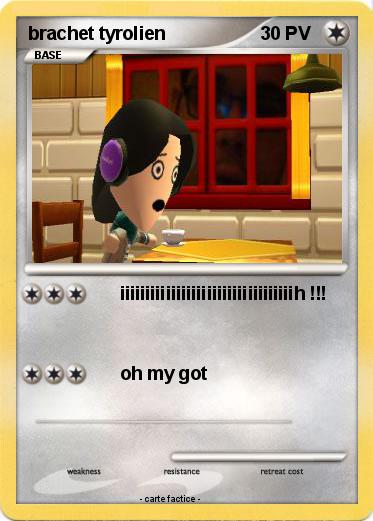 Pokemon brachet tyrolien
